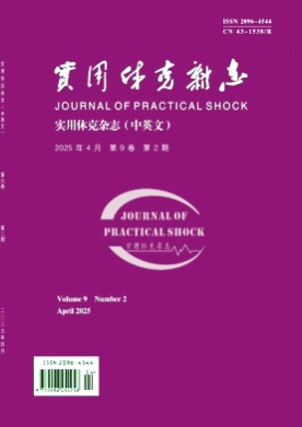 实用休克杂志(中英文)杂志